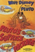 Pluto's Surprise Package